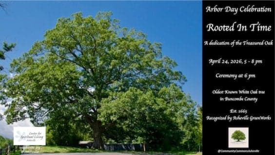 Rooted in Time: A Dedication of the Treasured Oak
