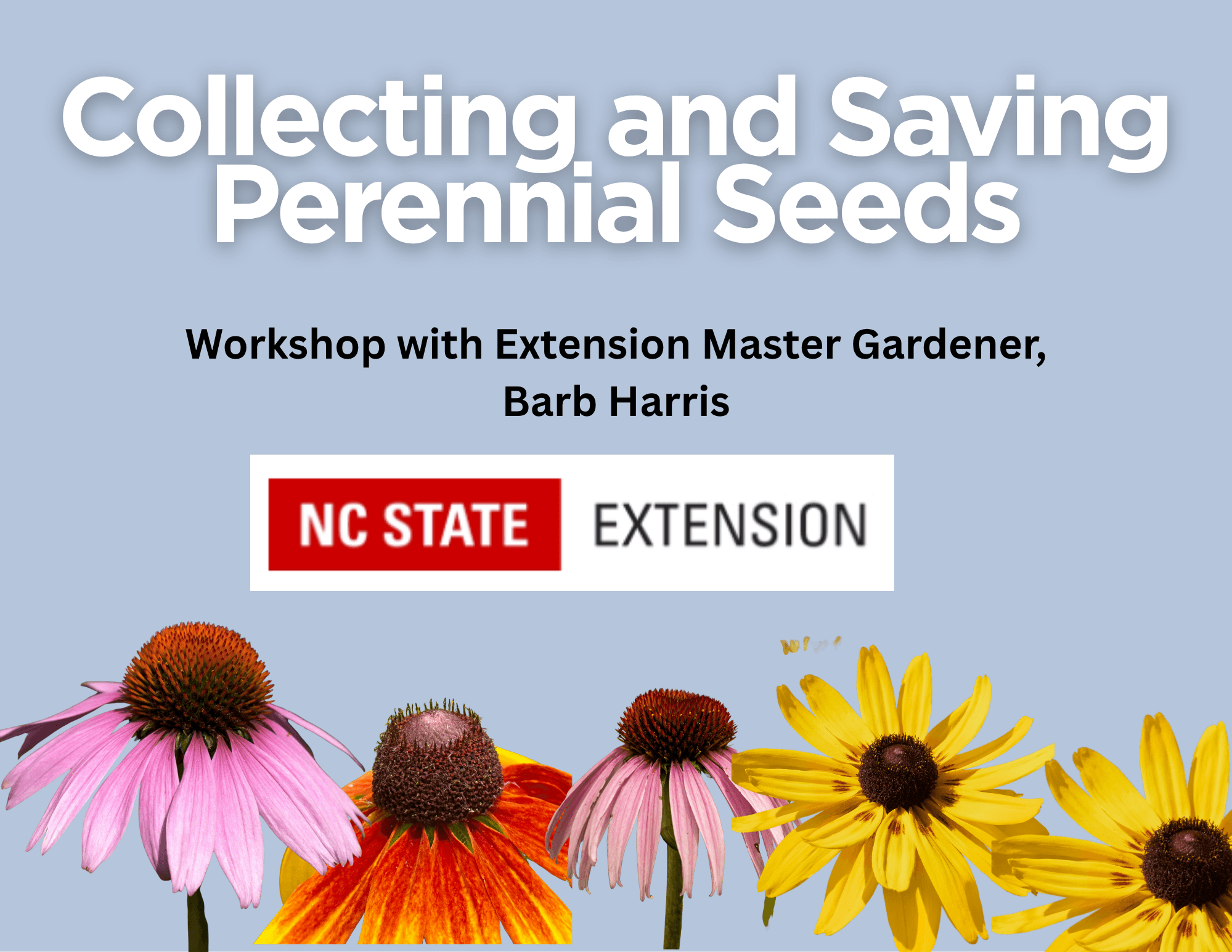 Collecting & Saving Perennial Seeds: a seed saving workshop