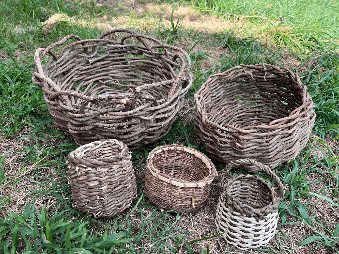 Weave Kudzu Vines Into a Basket