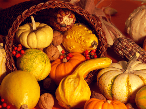 Fall Fest and Working Lands Showcase