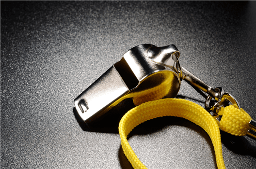 What is Race? A Nielsen discussion