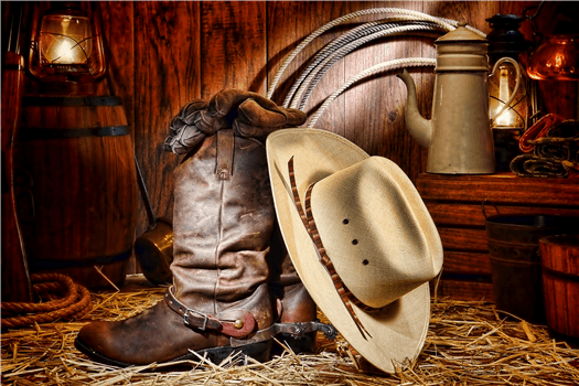 Old Farmers Ball: The Blue Ridge Rounders with Timothy Klein calling