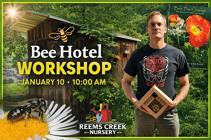 Bee Hotel Workshop: Supporting Native Bees