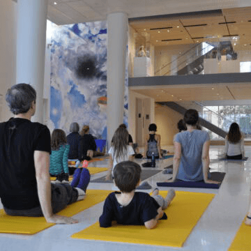 The Art of Yoga | Fall Summer Series 2026
