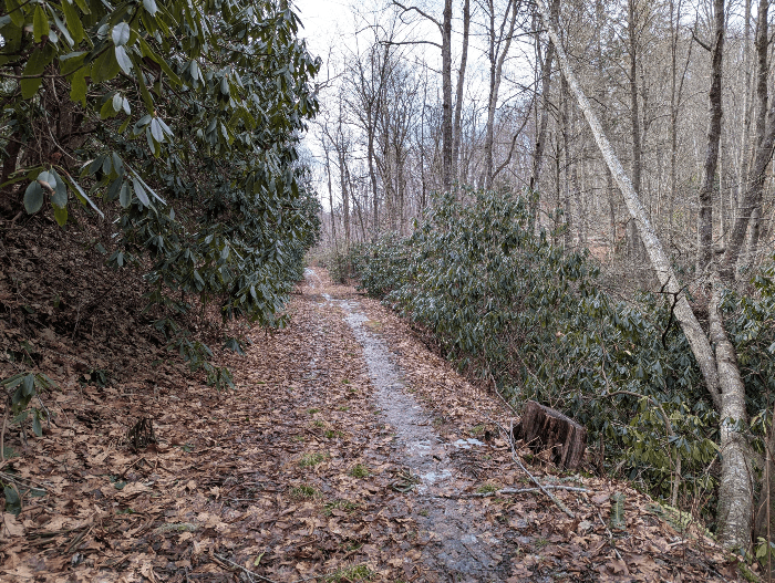2026 March Rough Creek Watershed Hike