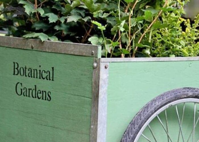 Asheville Botanical Garden Native Fall Plant Sale