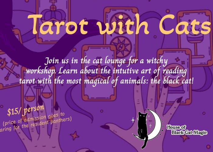 Witchy Workshop: Tarot with Cats