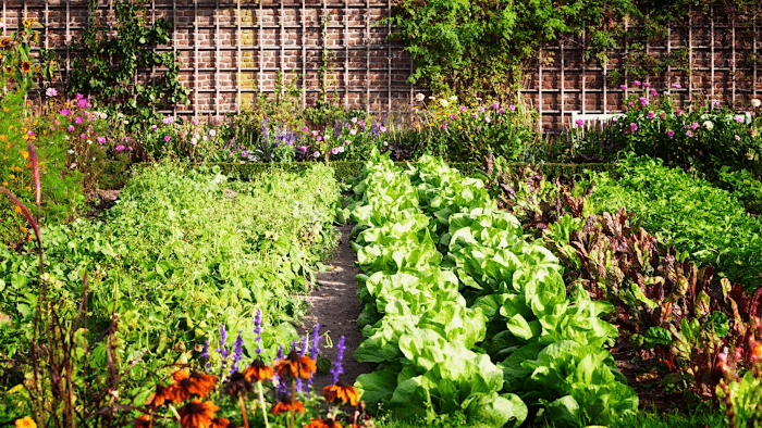 Gardening with an Ecologic Mindset