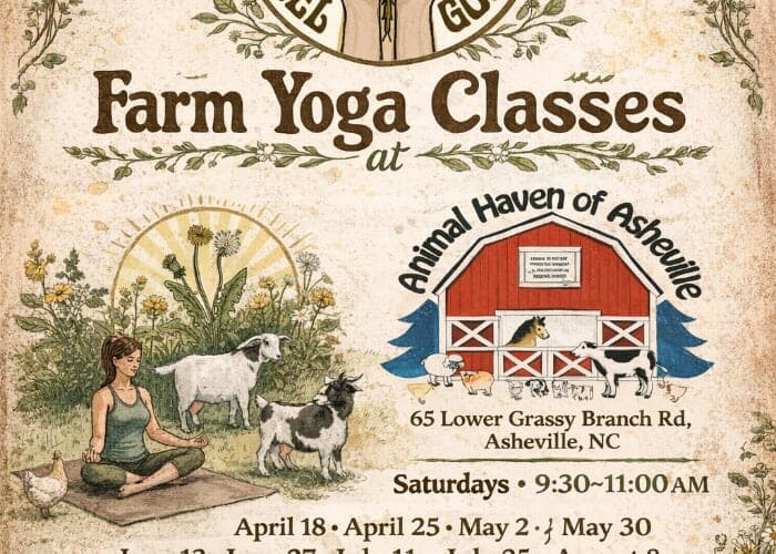Saturday Morning Farm Yoga