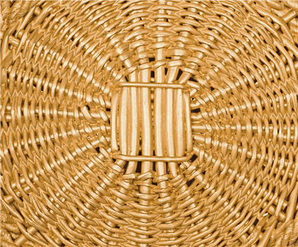 Basket Weaving Workshop Series