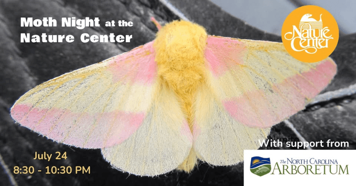 Moth Night at the Nature Center
