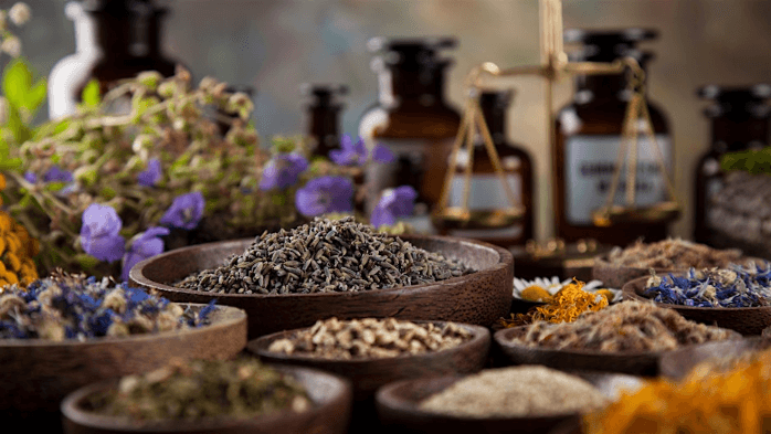 Rooted & Regulated: Adaptogens and Herbal Allies for Health