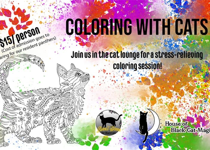 Coloring with Cats