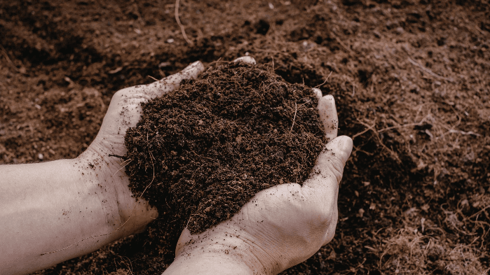Building Living Soil