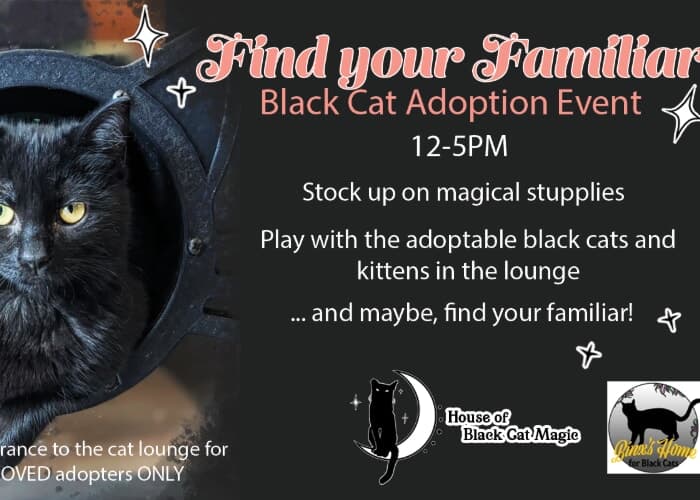 Find Your Familiar: Black Cat Adoption Event