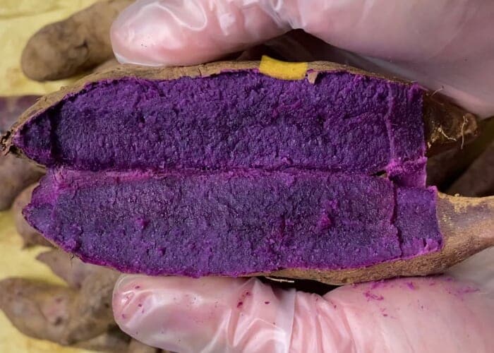 Purple Sweet Potato Ice Cream Release
