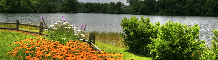 Spring Potluck Dinner At The Lake