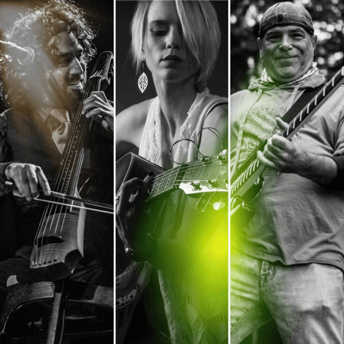 Hope Griffin Trio at Shamrock Irons: Franklin Keel & Jack Mascari