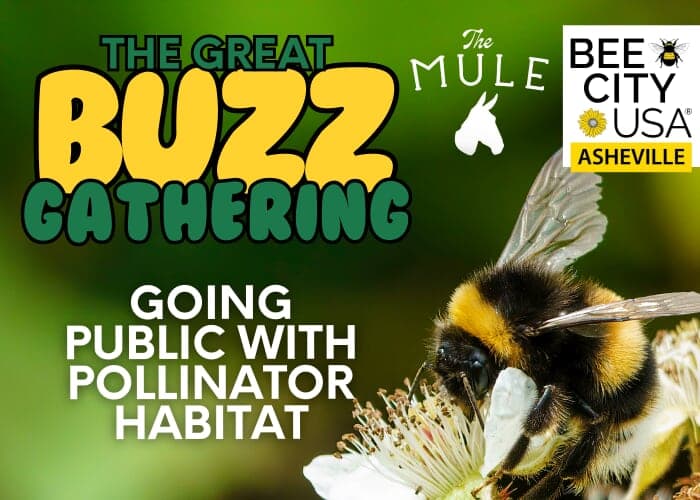 Great Buzz Gathering