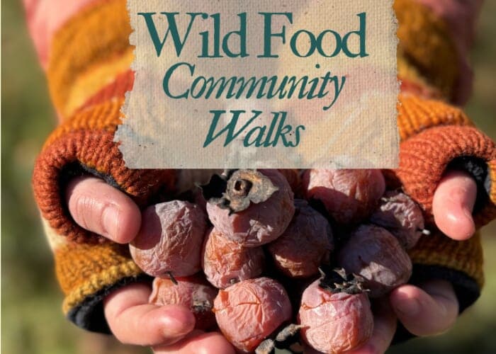 Wild Food Community Walks