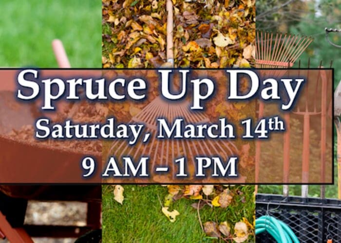 🌸 Spring Spruce Up Day 🌿