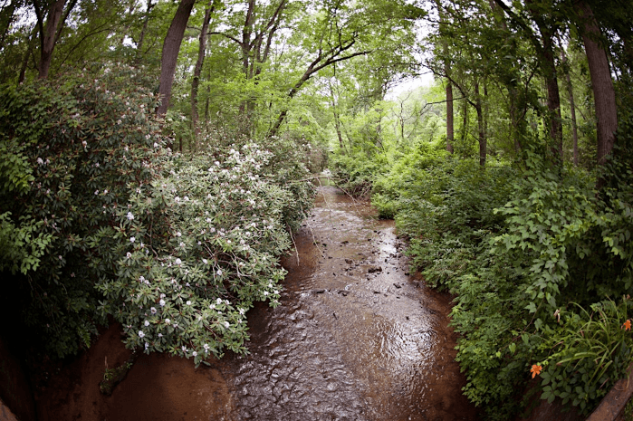 Streams & Creeks of the Arboretum