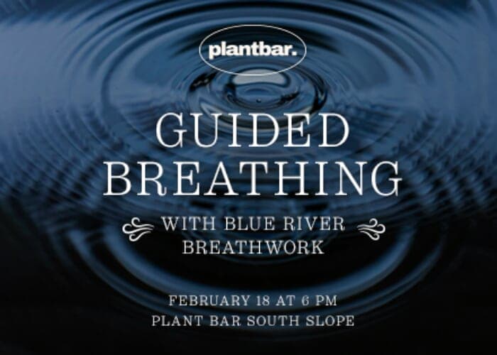Guided Breathing Hosted by Blueriver Breathwork at Plant Bar South Slope