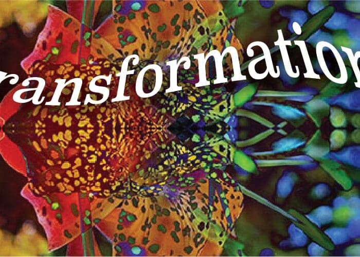 Open Art Call: "Transformation"