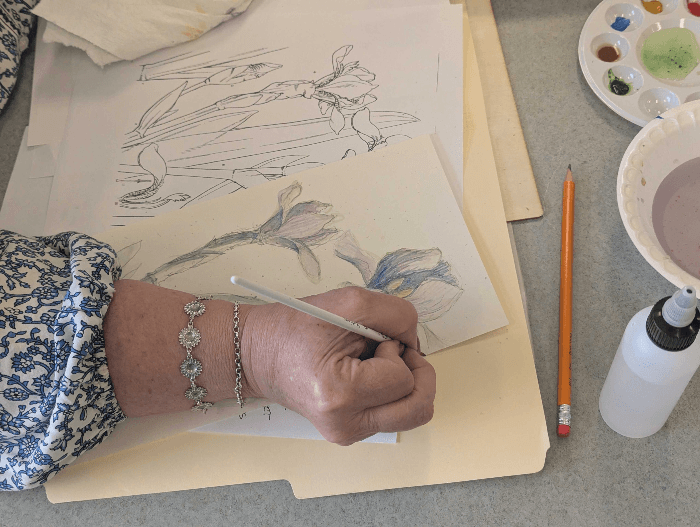 Botanical Drawing for Beginners