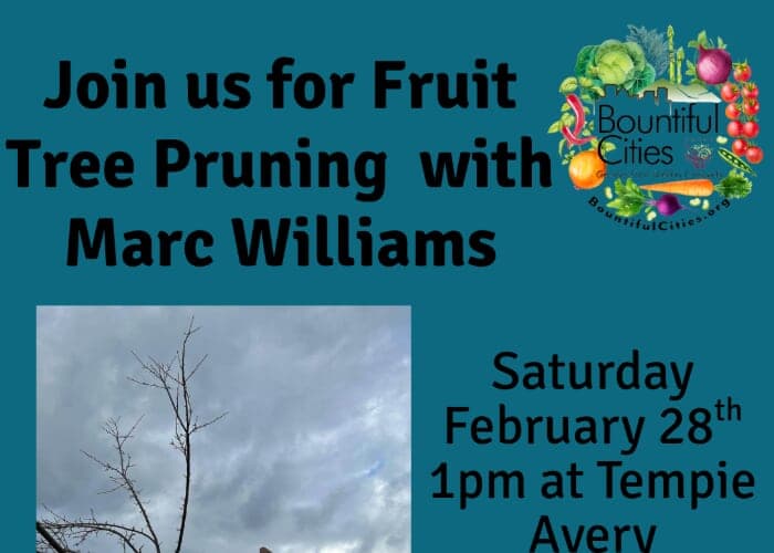 FREE Fruit Tree Pruning Workshop