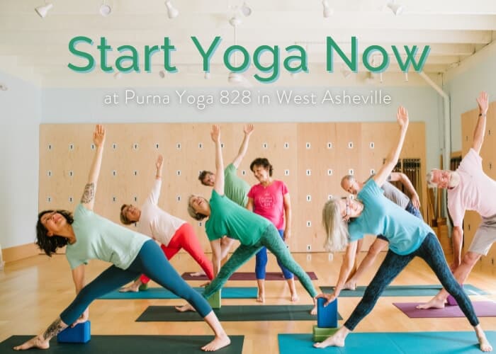 Start Yoga Now 5-week series for total beginners