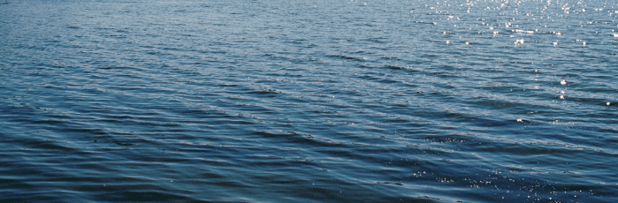 Land And Lakes Relay