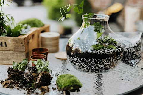 Terrarium Building Workshop in Asheville