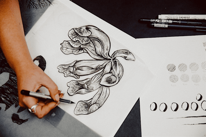 Intermediate Botanical Drawing in Ink