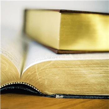 Library Preview: "Mean Girls: High School Edition"