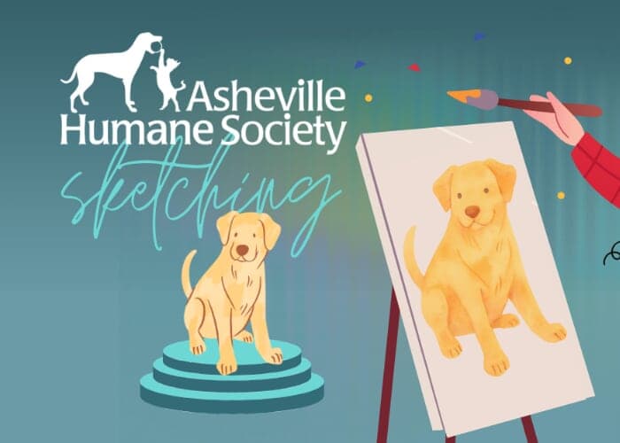 Asheville Humane Society Sketching