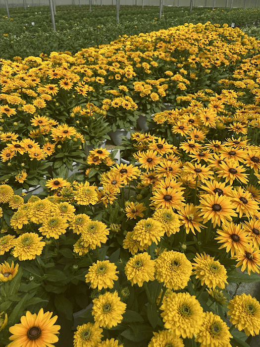 Commercial Pesticide Recertification