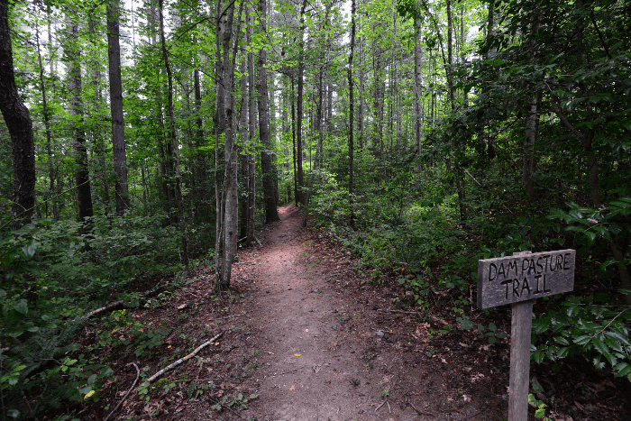 2026 February Hiking with Kids at Bull Creek Preserve