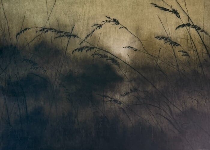 Drift, In and Out: Art Exhibit by Linsey Gray