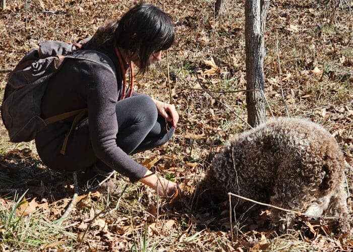 Asheville Truffle Experience