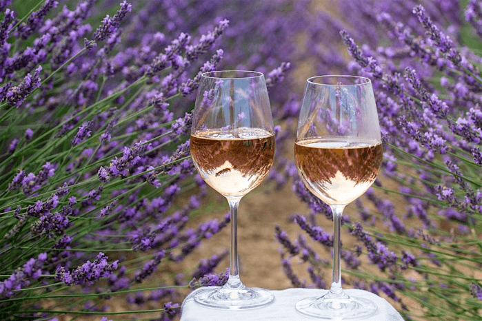Wine Dinner: Provence