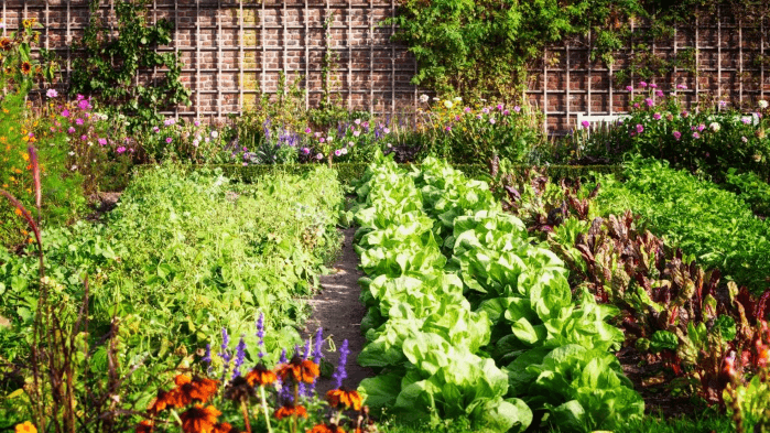 Gardening with an Ecological Mindset (2-sessions)