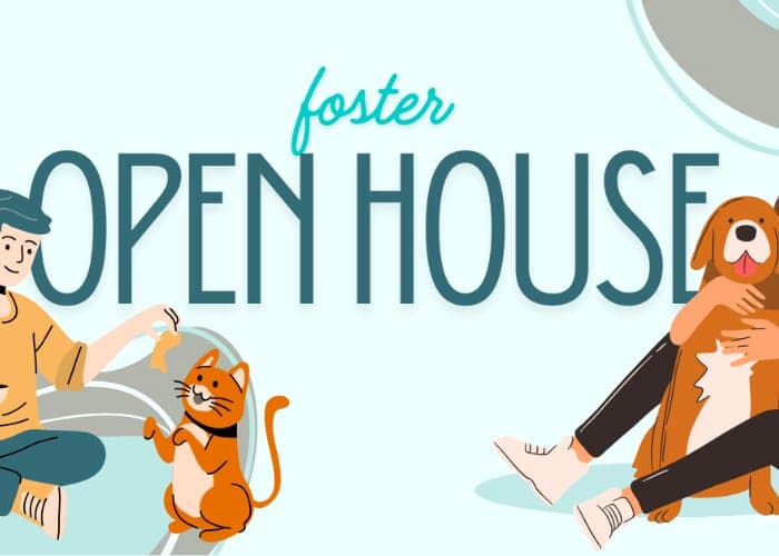 Foster Open House