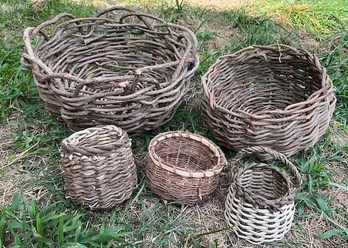 Kudzu Basket Weaving w/ Carleigh Fairchild