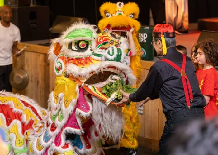 Year of the Fire Horse: Lunar New Year Celebration