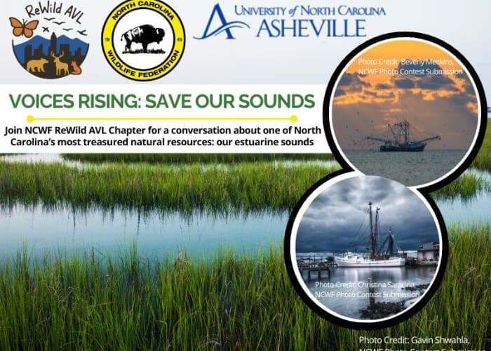 Voices Rising: Save our Sounds