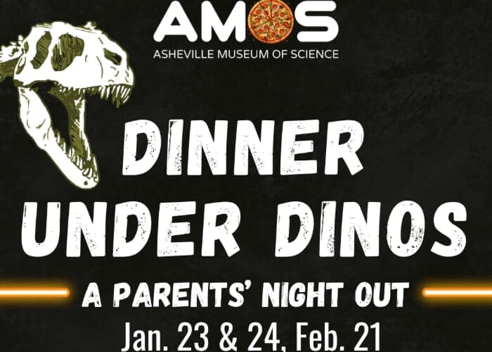 Dinner Under Dinos