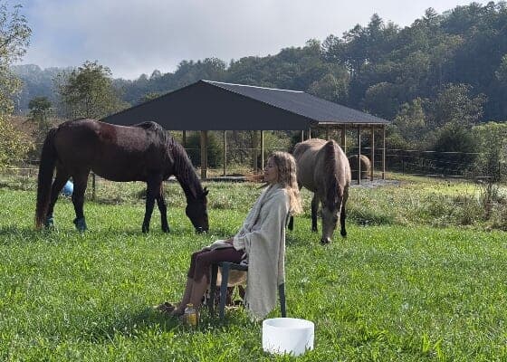 Meditation with Horses