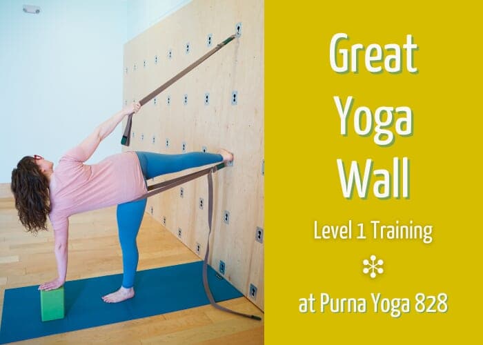 Great Yoga Wall Level 1 Training