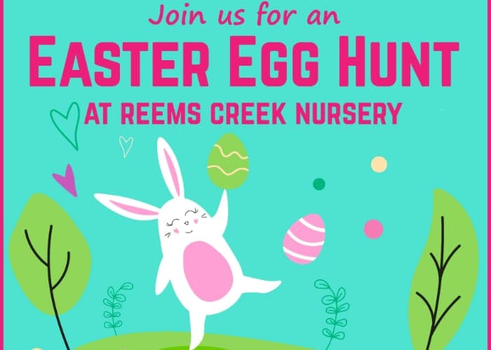 Easter Egg Hunt at Reems Creek Nursery
